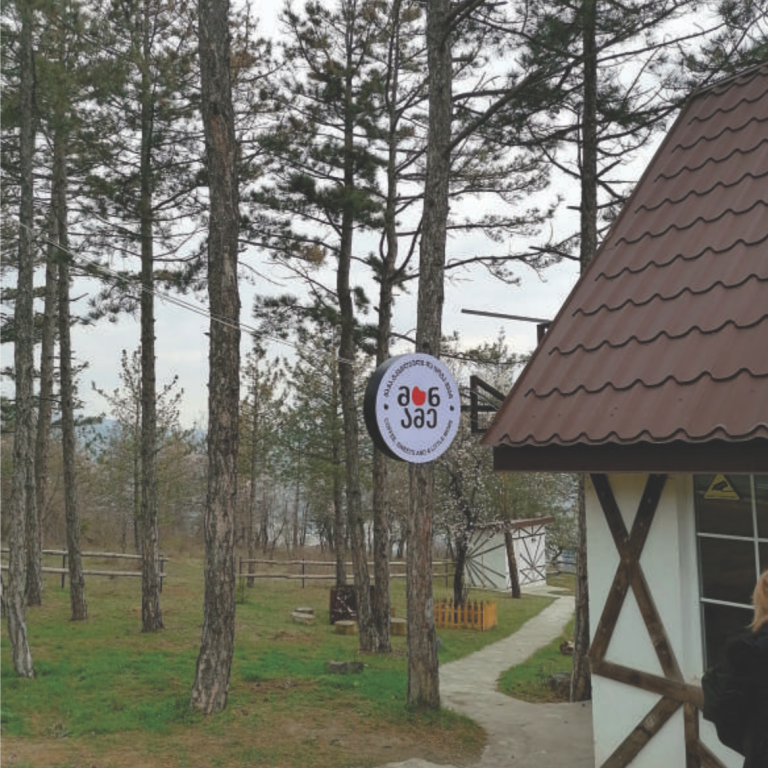 მანამე Stagi Group, სტაგი ჯგუფის მოცულობითი შენობის ლოგო მანამე