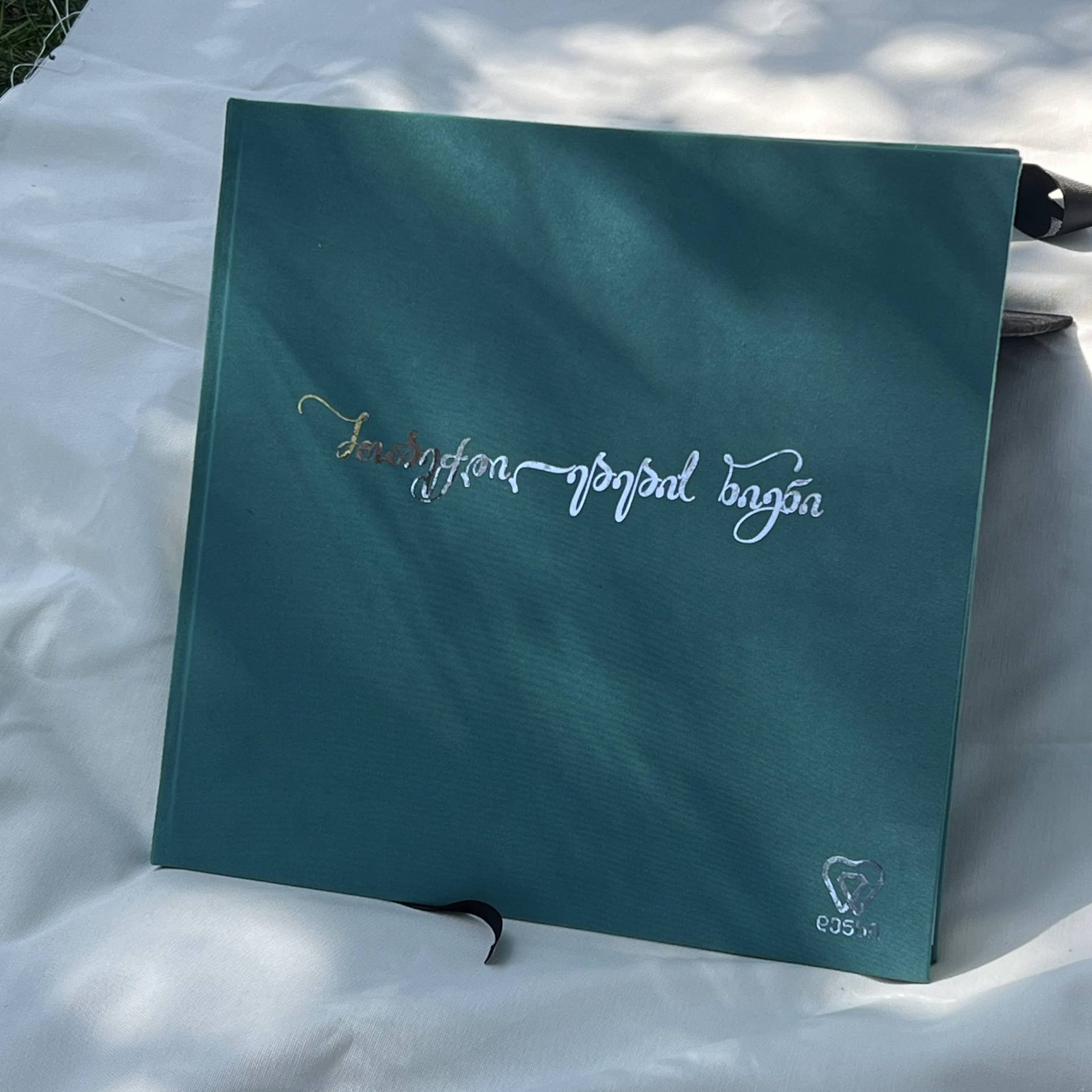 Stagi Group, სტაგი ჯგუფის დენსის ცისფერი შთაბეჭდილების წიგნი