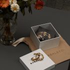 ბაბალეტოს სამკაულის ყუთი